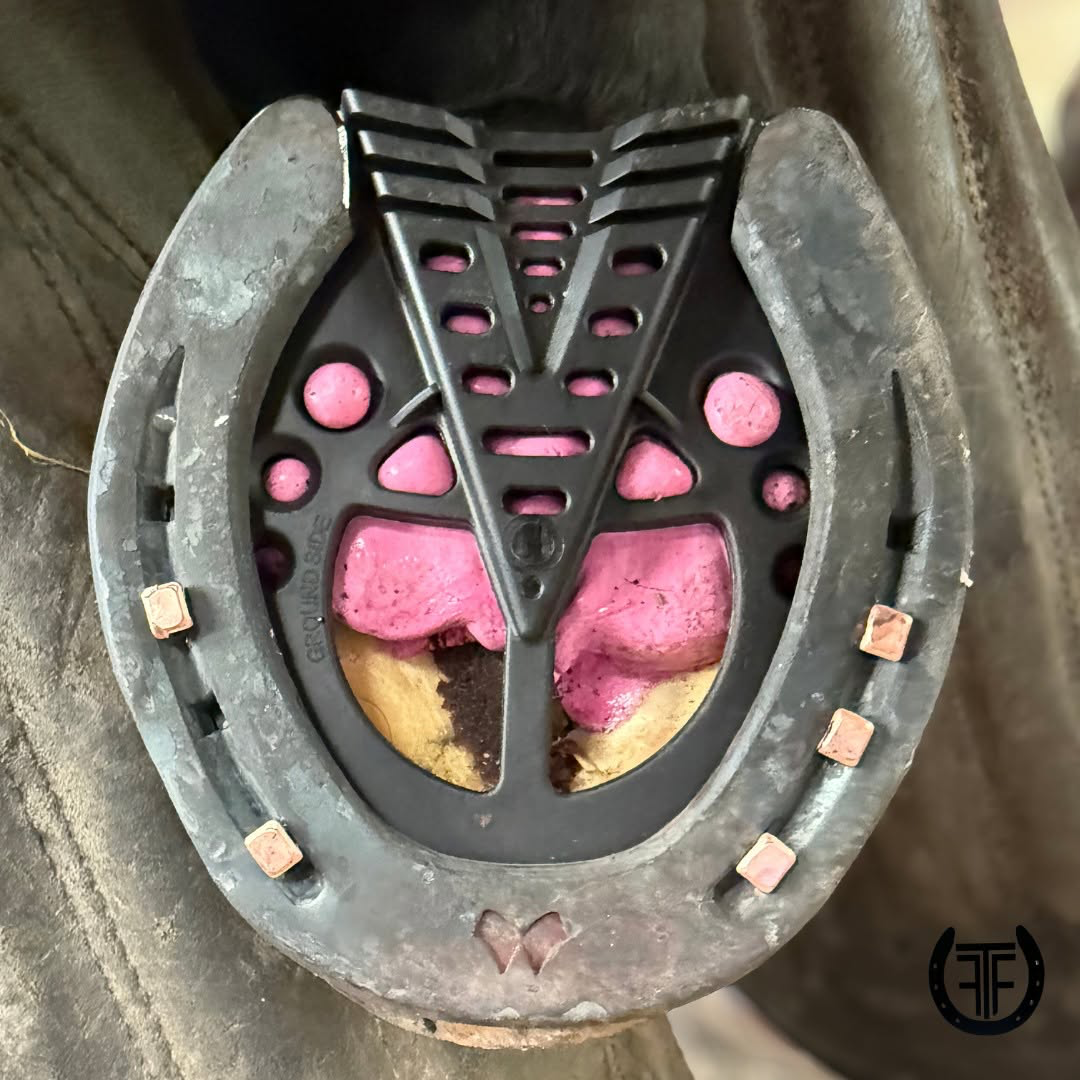 Imprint sport shoe with pink hoof packing