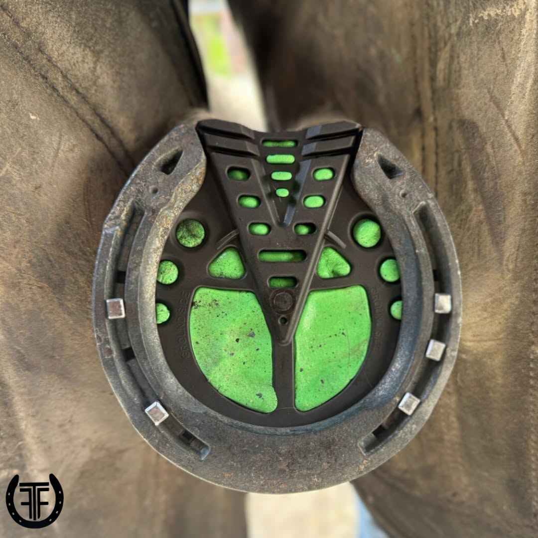 Imprint remedial shoe with green pour-in pad